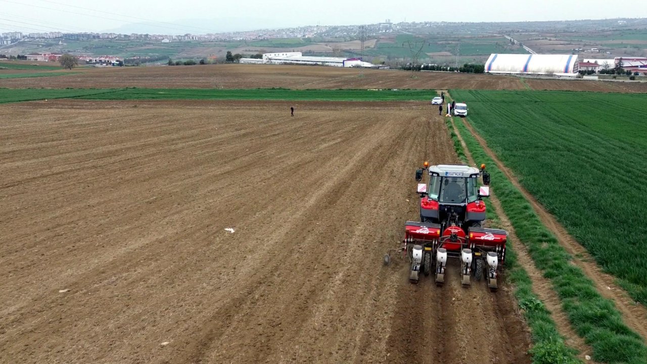Tekirdağ'da 1 milyon 700 bin dekar alanda ayçiçeği üretimi yapılacak