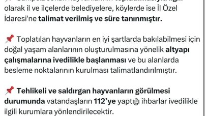 Yalova Valiliği'nden sahipsiz sokak hayvanlarının toplatılmasına ilişkin açıklama