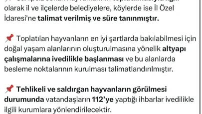 Yalova Valiliği'nden sahipsiz sokak hayvanlarının toplatılmasına ilişkin açıklama