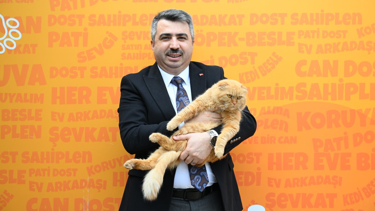 Yıldırım'da 625 sahipsiz kedi ve köpek sıcak yuvaya kavuştu