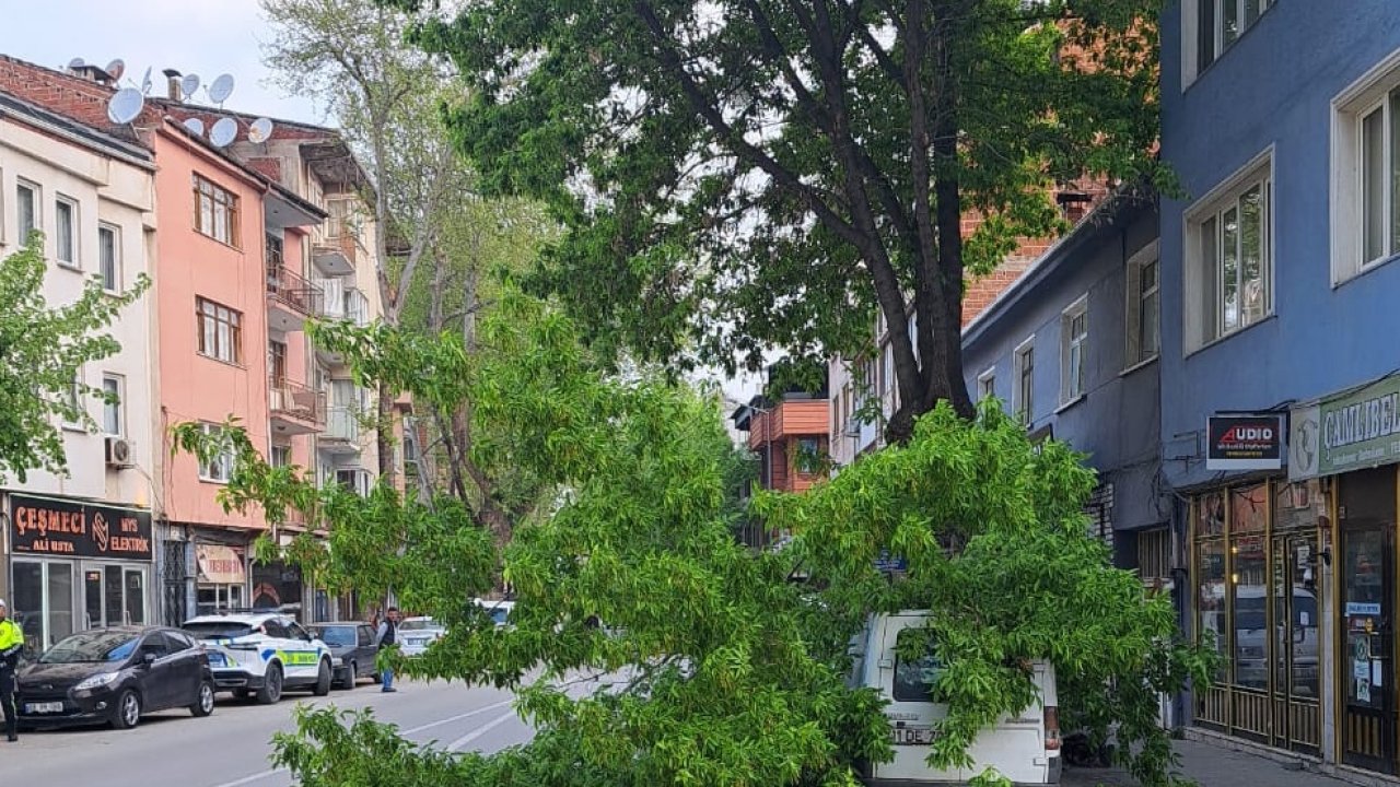 Ağacın kırılan dalı park halindeki hafif ticari aracın üstüne düştü
