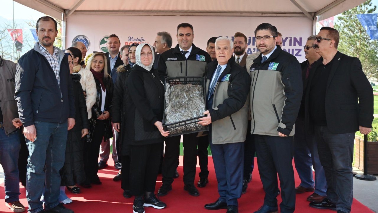 Bursa Büyükşehir Belediyesi’nden çiftçiye 1 milyon 222 bin adet çilek fidesi