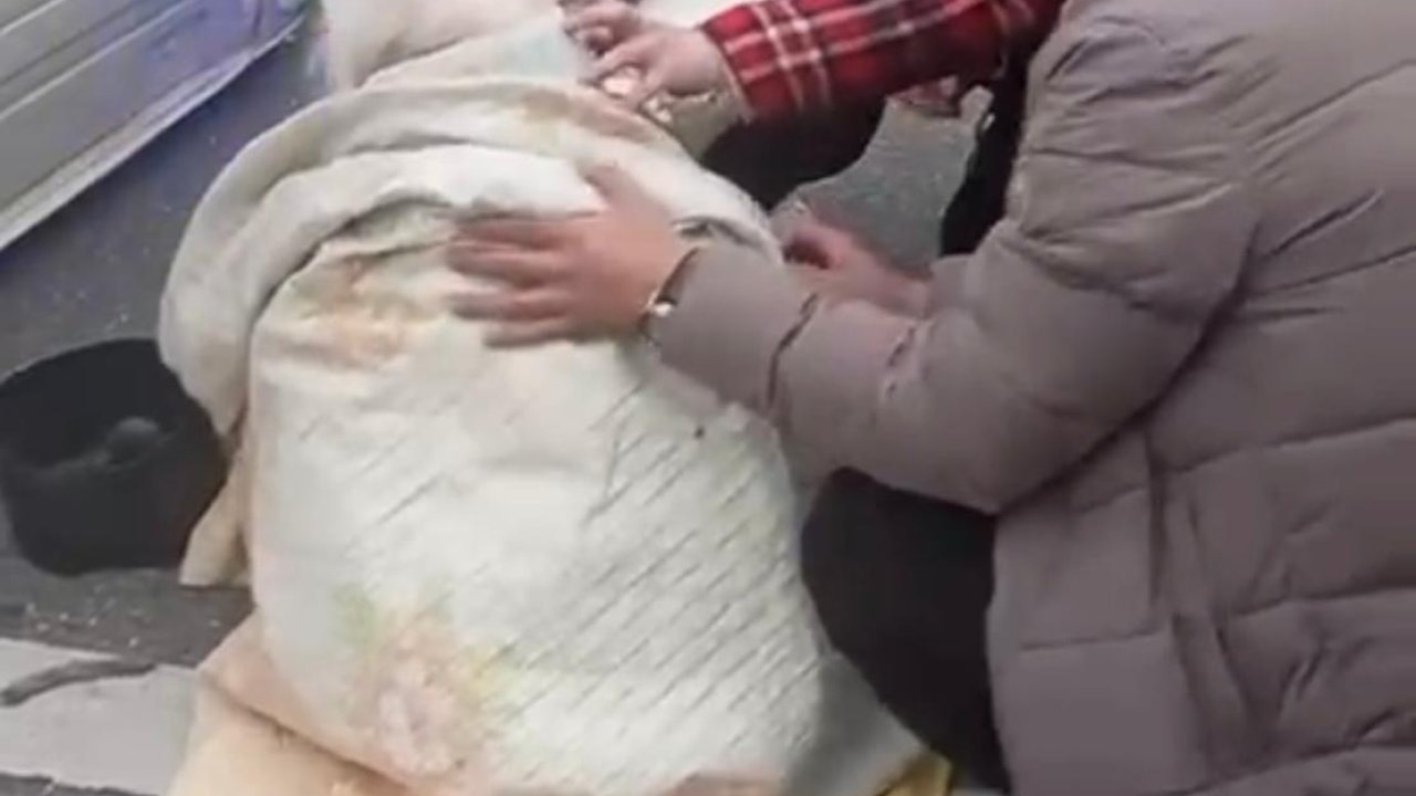 Bursa'da hasta taşıyan ambulans karşı şeride geçerek otomobile çarptı:4 yaralı