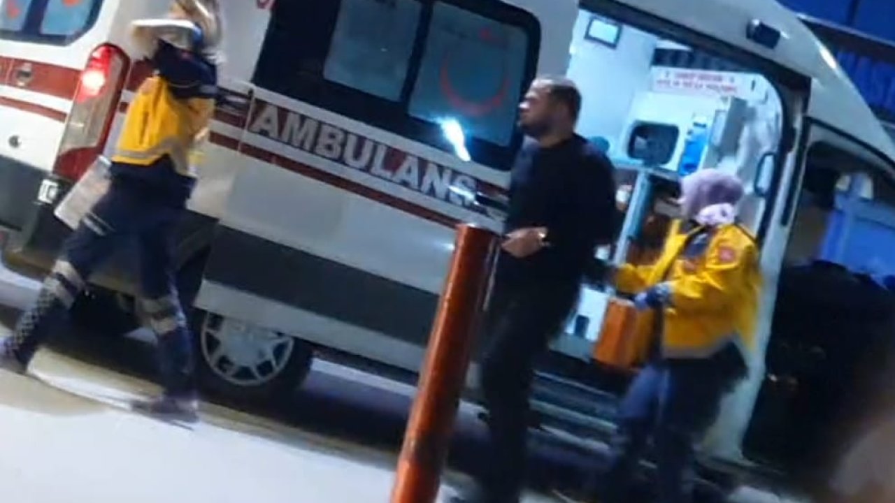 Bursa'da sokak köpeğine çarparak savrulan hafif ticari aracın sürücüsü yaralandı