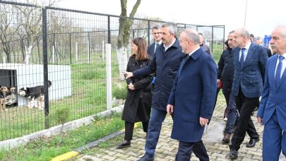 Sokak hayvanları için 72 dönümlük ‘doğal yaşam alanı’ oluşturuluyor