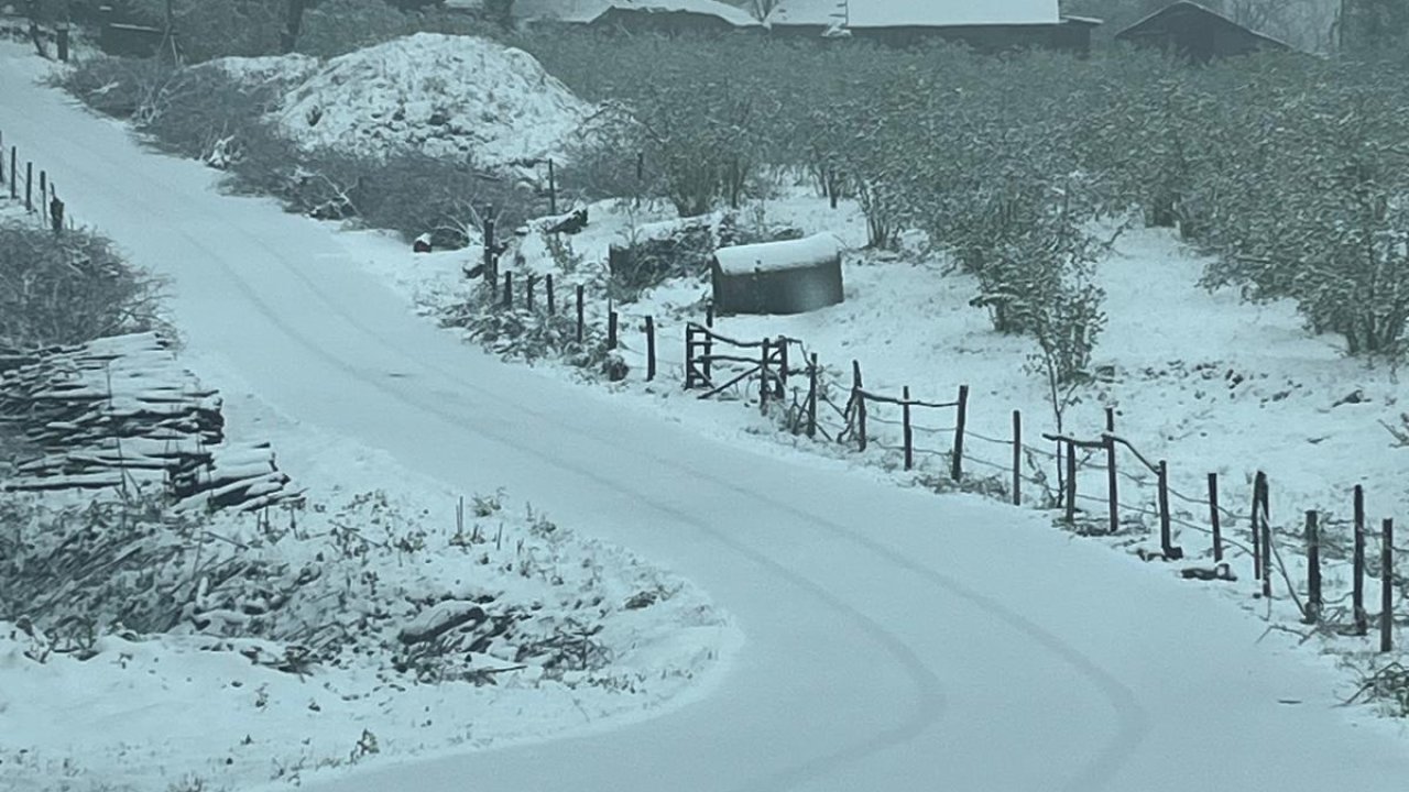Sakarya’nın yükseklerine kar yağdı, valilik don uyarısı yaptı