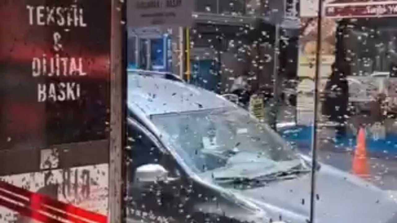 Arılar iş hanının girişine oğul verdi