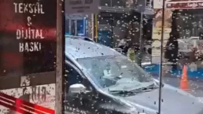 Arılar iş hanının girişine oğul verdi