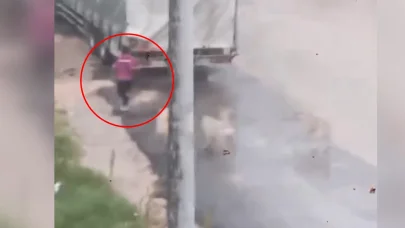 Başıboş köpeklerin çocuğu kovaladığı anlar kamerada