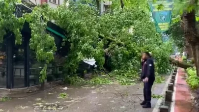 Çınar ağacı kafenin üzerine devrildi