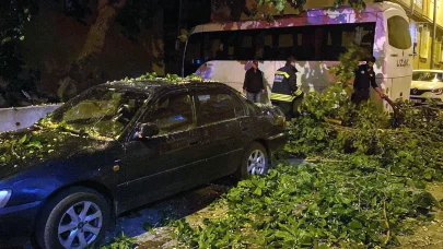Çorlu'da ağaç park halindeki otomobilin üzerine devrildi