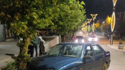 Edirne'de, ağaca çarpan otomobilin alkollü sürücüsü yaralandı