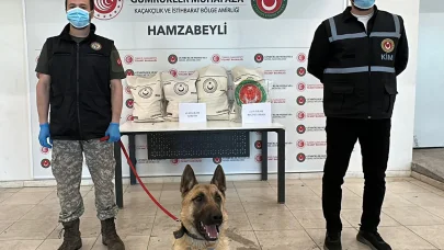 Hamzabeyli'de 50 kilo uyuşturucuyu ‘Bodri’ buldu