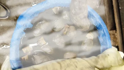 Kapıkule'de kaçak yollarla yurda sokulmak istenen 8 bin adet sülük ele geçirildi