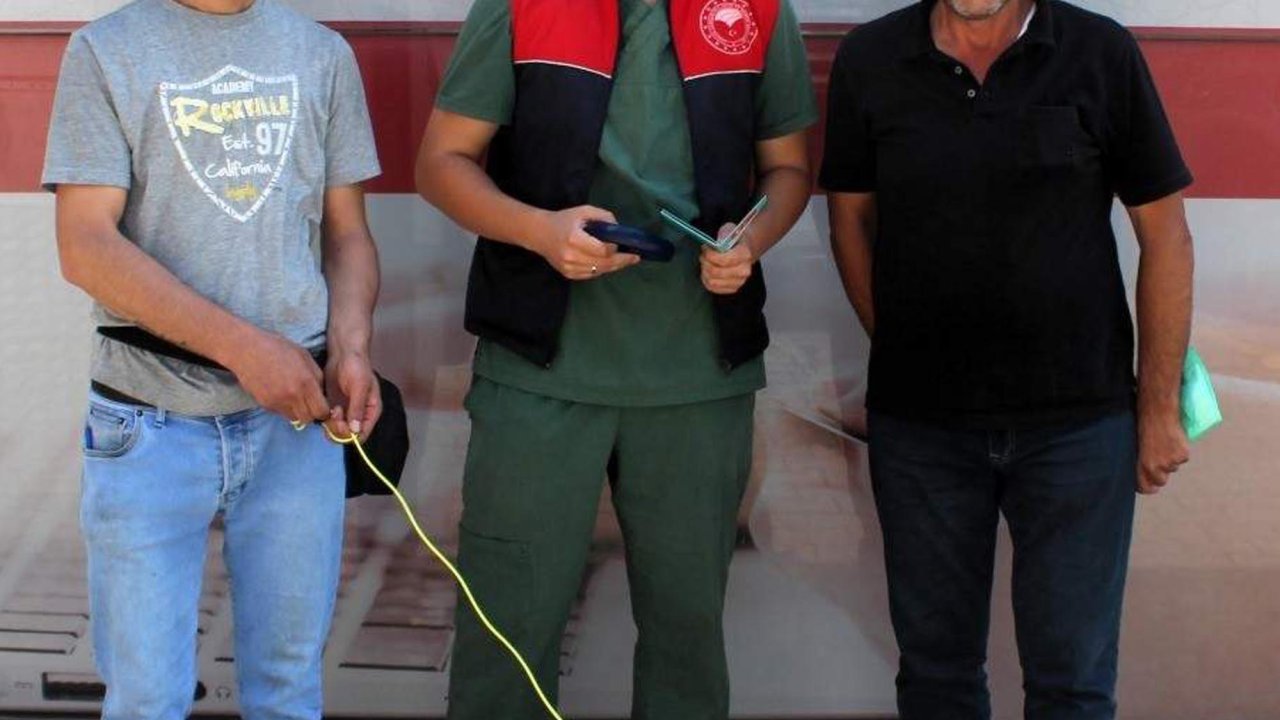 Kayıp köpek, mikroçip sayesinde sahibine kavuşturuldu