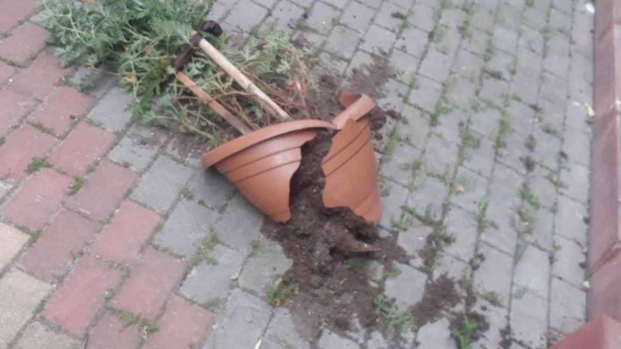 Pamukova'da fırtına etkili oldu