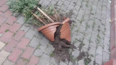 Pamukova'da fırtına etkili oldu