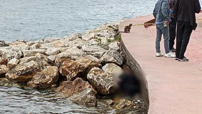 Sahildeki kayalıklarda erkek cesedi bulundu