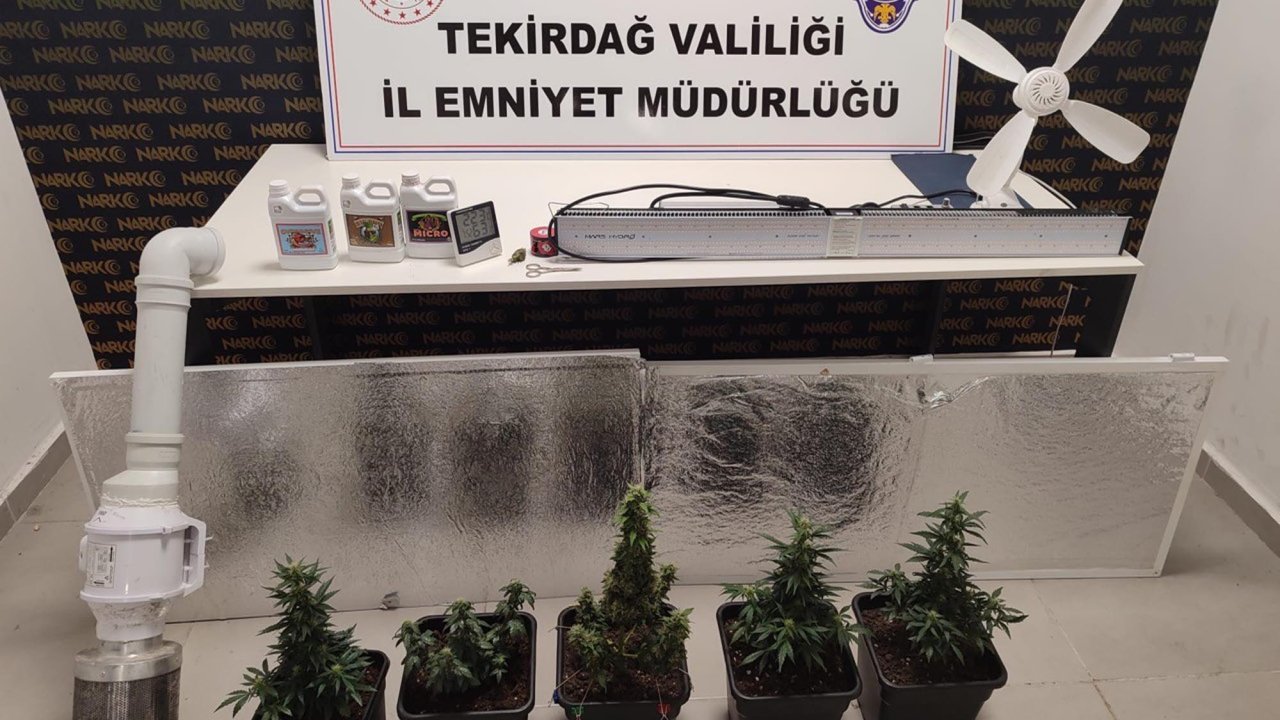 Tekirdağ'da evlerinde uyuşturucu yetiştiren 2 şüpheli yakalandı