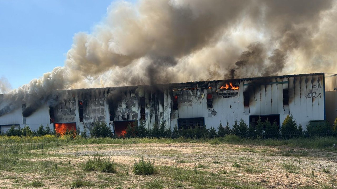 Tekirdağ'da fabrika yangını; alevler parfüm tesisine sıçradı