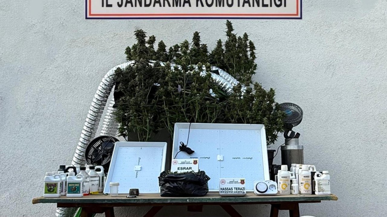 Tekirdağ'da jandarmadan uyuşturucu operasyonu