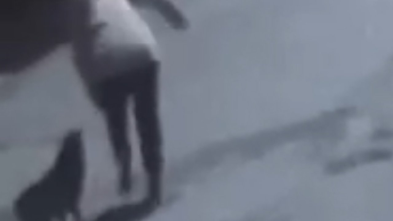 Tekirdağ'da sokak köpeğinin ısırdığı kadın yaralandı; o anlar kamerada