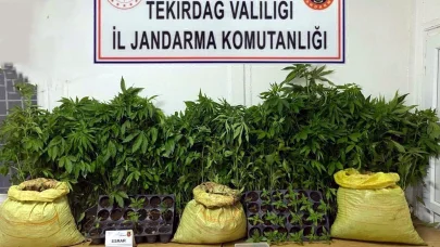 Tekirdağ'da uyuşturucu operasyonlarında 7 gözaltı
