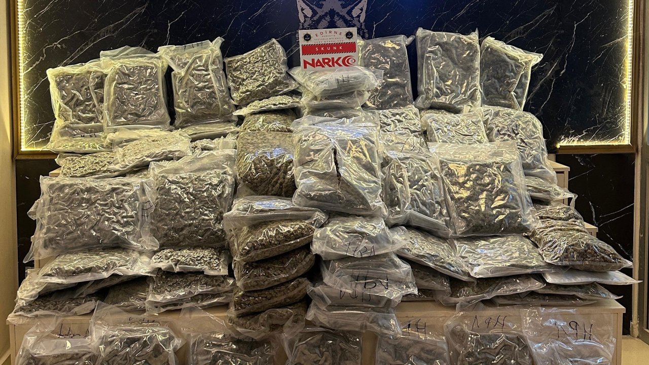 TIR'lardaki 128 kilo uyuşturucuyu 'Carlos' buldu