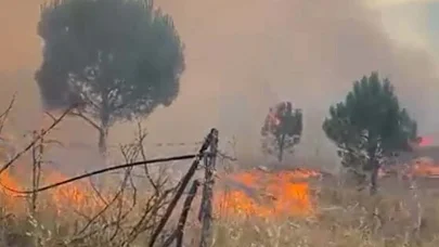 Balıkesir'de örtü yangını