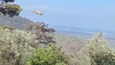 Balıkesir'deki orman yangını 24 saatte kontrol altına alındı