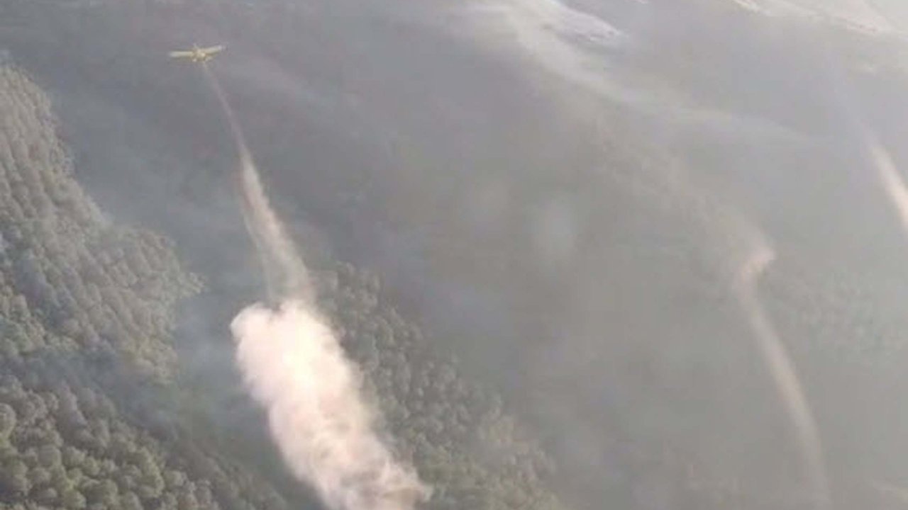 Balıkesir'deki orman yangınında 2'nci gün; 5 gözaltı