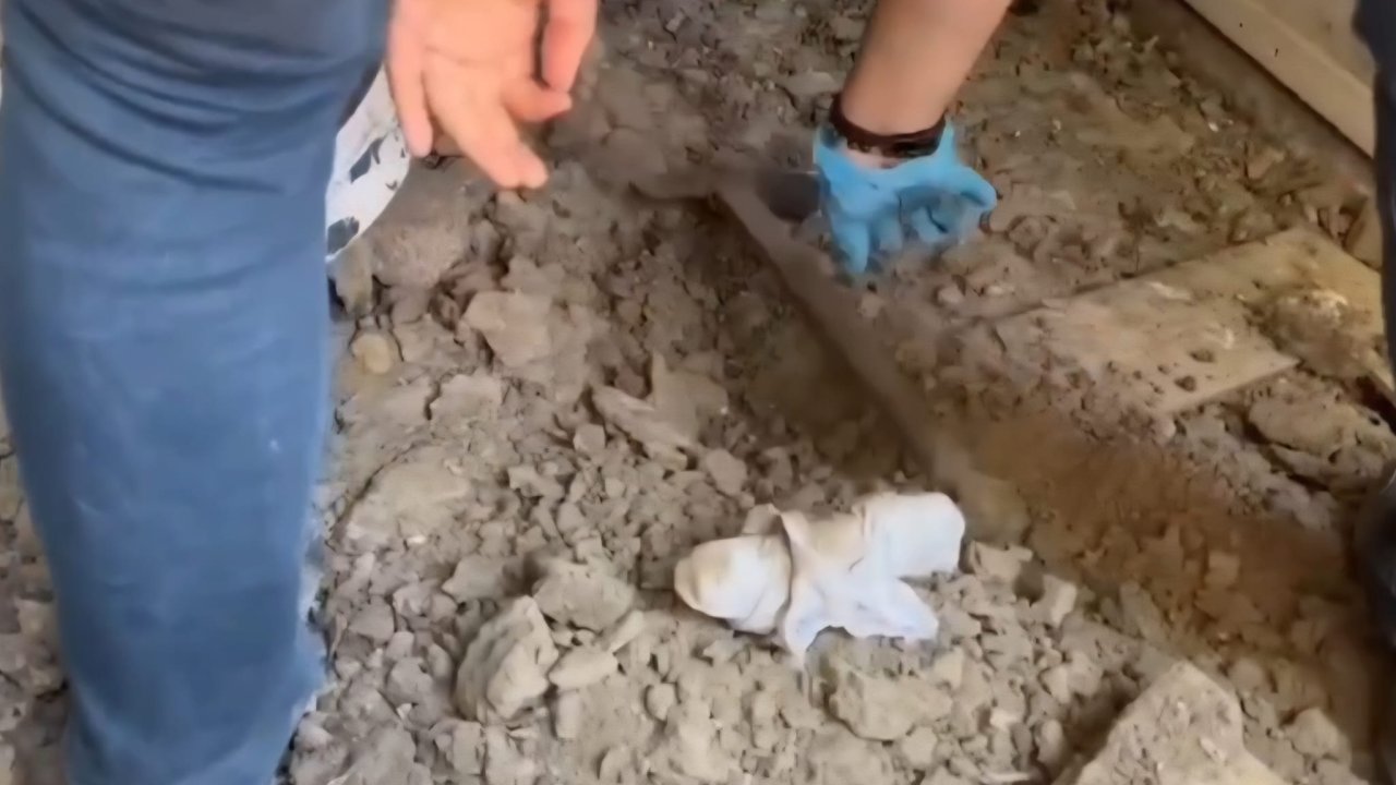 Birlikte içki içtiği arkadaşını tabancayla vuran şüpheli, 15 gün sonra bungalovda yakalandı