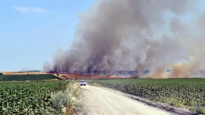 Buğday tarlasında yangın