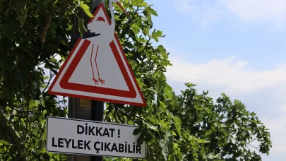 ‘Bursa Leylek Şenliği’ başladı