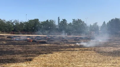 Bursa'da anız yangını
