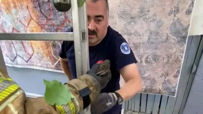 Bursa’da çatıya sıkışan ebabil kuşunu itfaiye görevlisi kurtardı