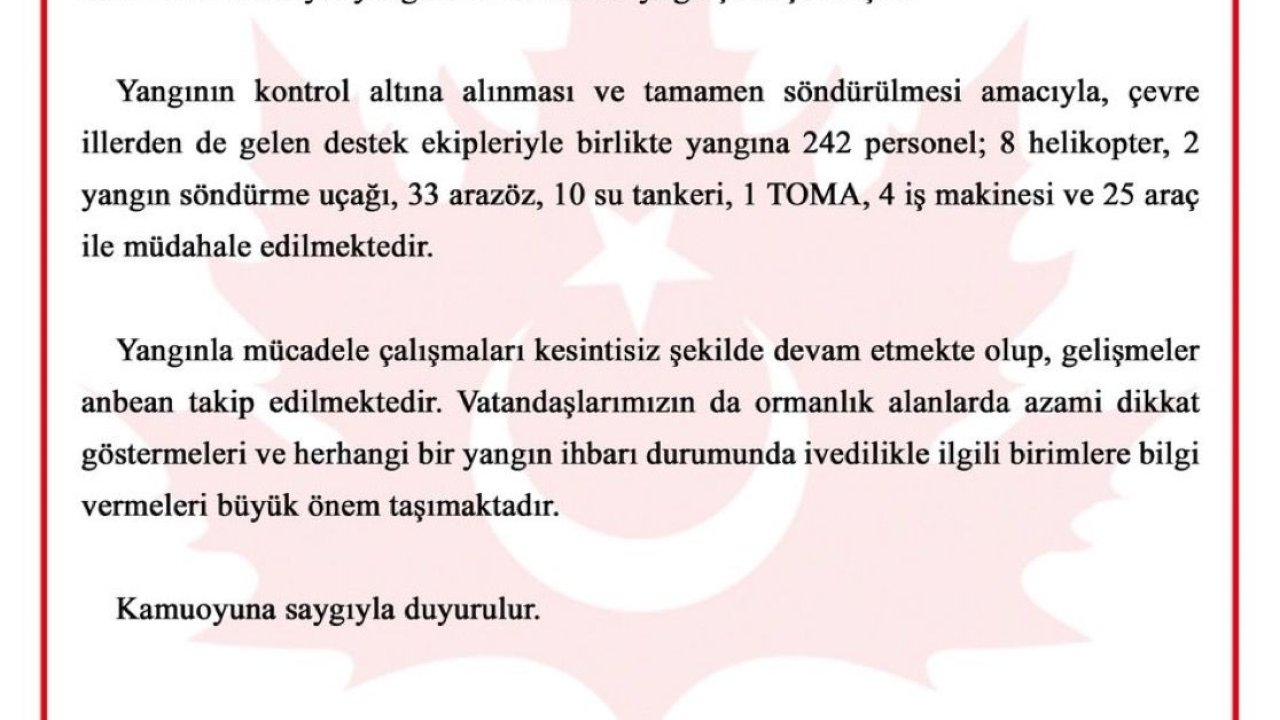 Bursa'da orman yangını