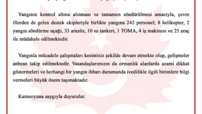 Bursa'da orman yangını