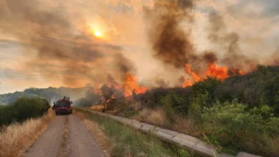 Çanakkale'deki otluk yangını 1 saatte söndürüldü