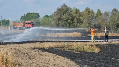 Edirne'de 10 dönüm buğday, yangında zarar gördü