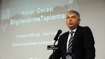 Edirne'de buğdayda rekolte beklentisi; 720 bin ton