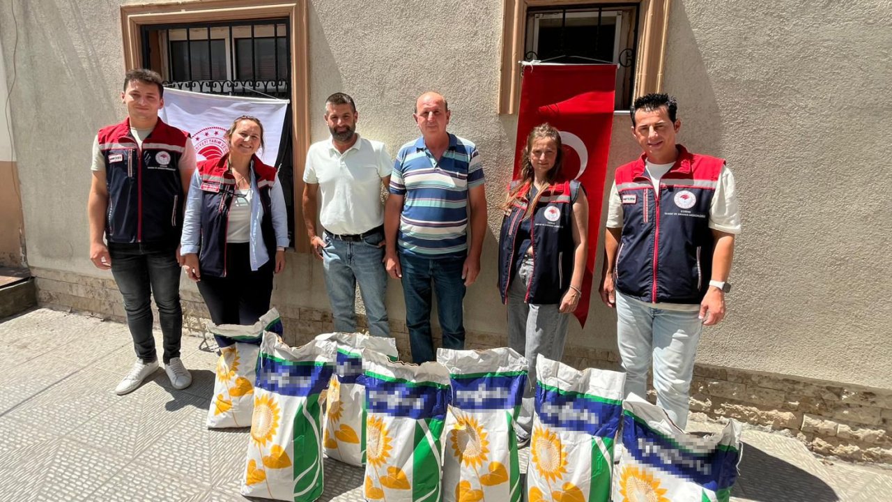 Edirne'de ikinci ürün ayçiçeği ekimini için yüzde 75 hibeli tohum dağıtıldı