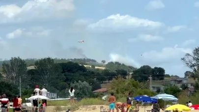 Edirne'de orman yangını