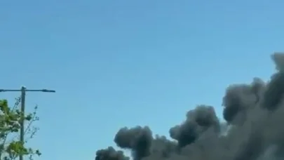 Hastane yakınında ağaçlık alanda çıkan yangın kısa sürede söndürüldü