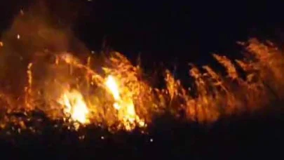 Havai fişek ormanı yaktı; düğündekiler tahliye edildi