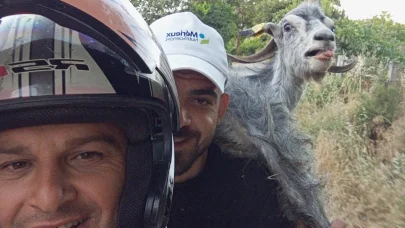 Kaçan keçiyi motosikletle yakalayıp omuzlarında pazara getirdiler