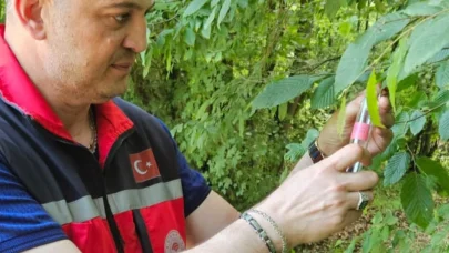 Kandıra’da 5 bin adet Samuray Arısı doğaya salındı