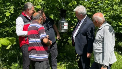 Kandıra'da kahverengi kokarca zararlısına karşı mücadele devam ediyor
