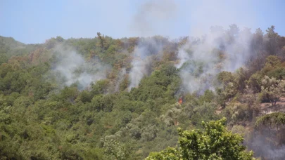 Kocaeli'de makilik yangını