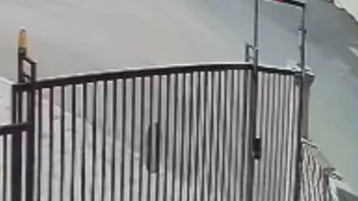 Köpeğini gezdiren kadına, sokak köpekleri saldırdı; o anlar kamerada